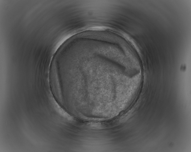 X0000088871194200707061341