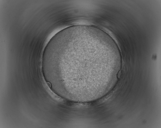 X0000088871195200707061341