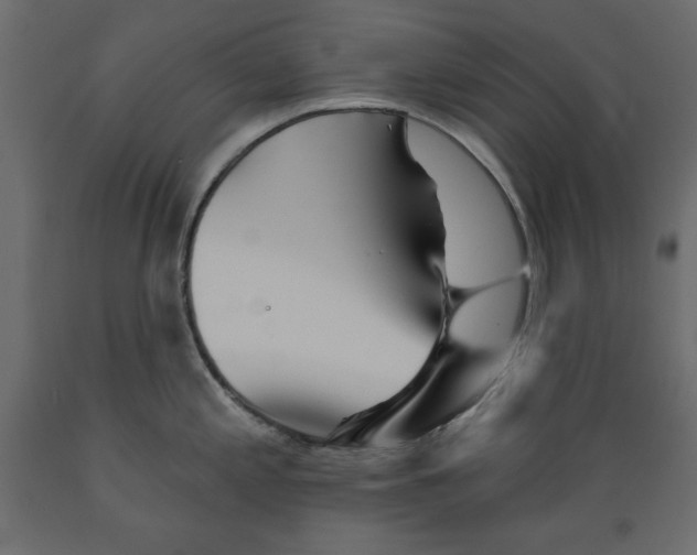 X0000088871197200707061341