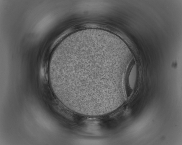 X0000088871198200707061341