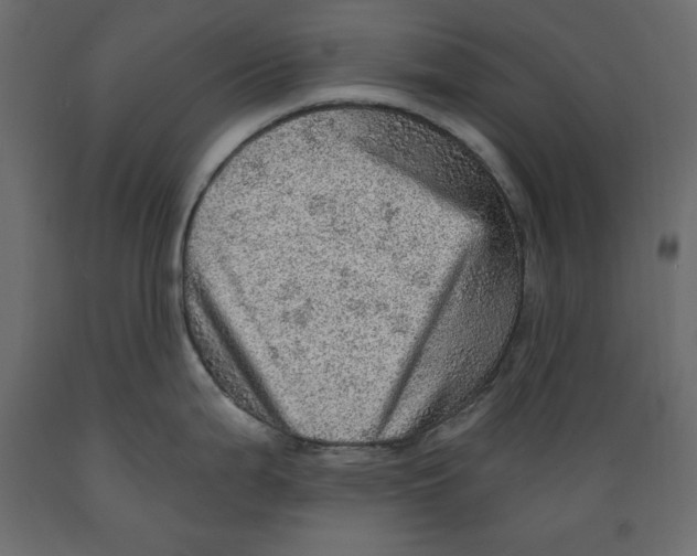 X0000088871199200707061341