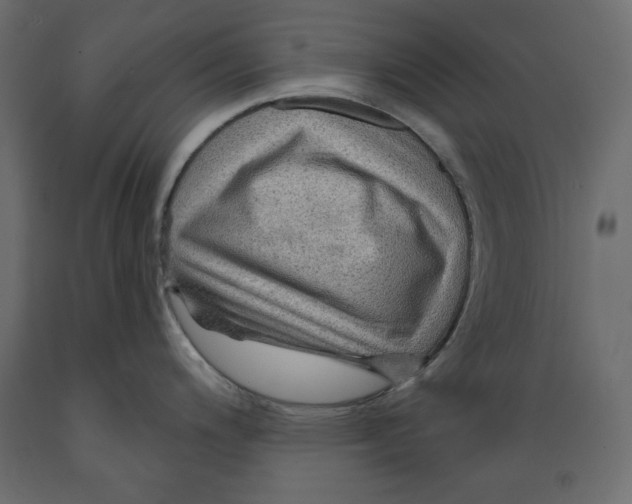 X0000088871200200707061341