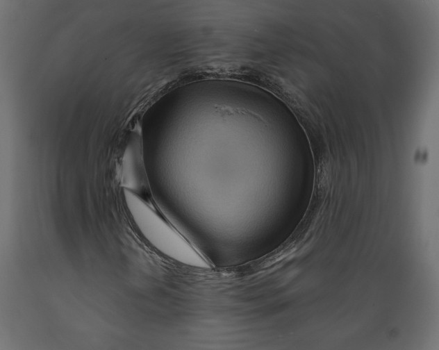 X0000088871202200707061340