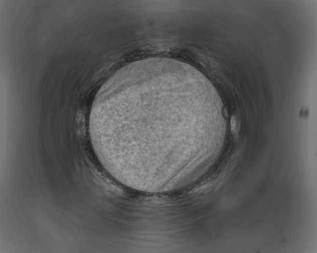 X0000088871203200707061340