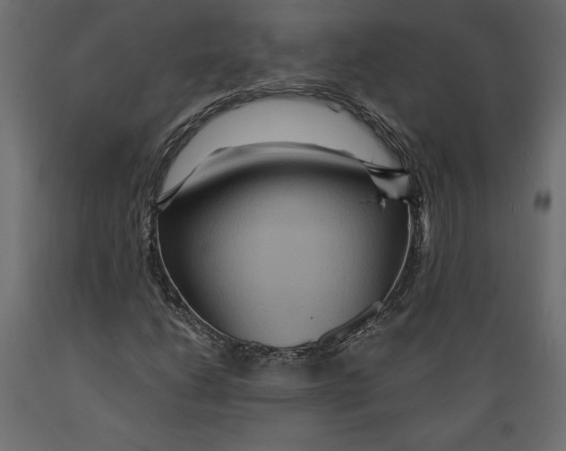 X0000088871206200707061340