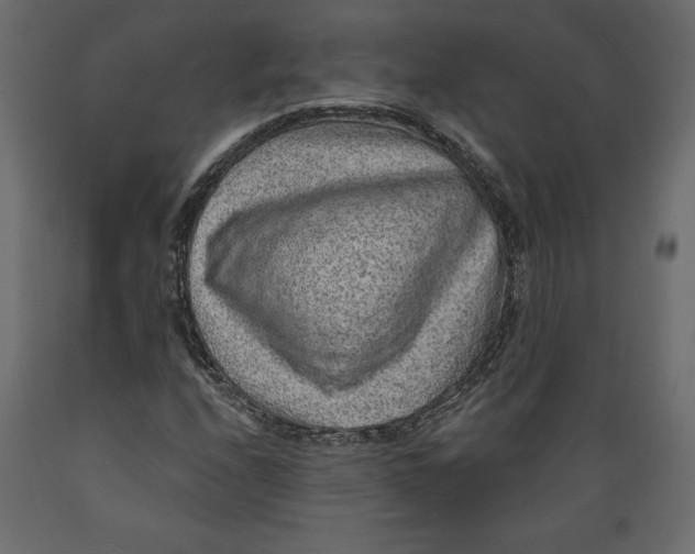 X0000088871208200707061340