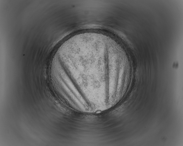 X0000088871209200707061340