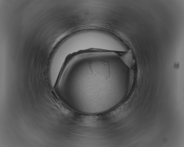 X0000088871210200707061340