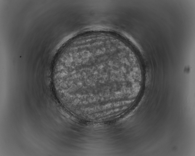 X0000088871213200707061340