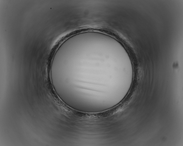X0000088871214200707061340