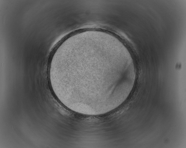 X0000088871216200707061340