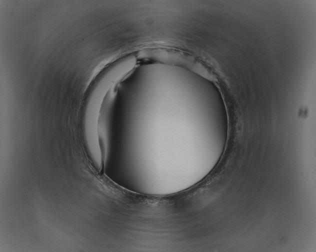 X0000088871218200707061340
