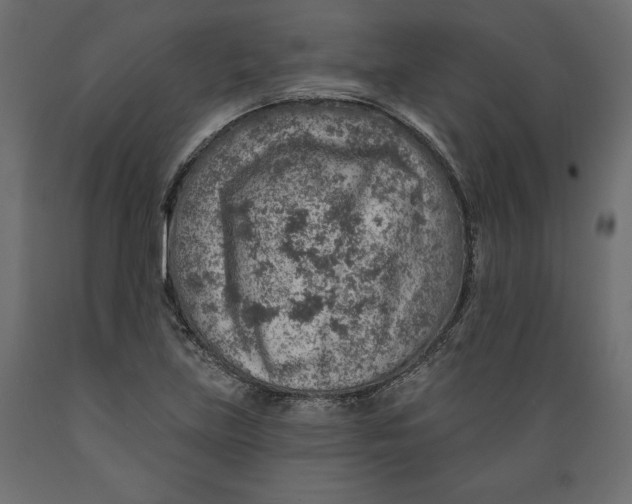 X0000088871219200707061340