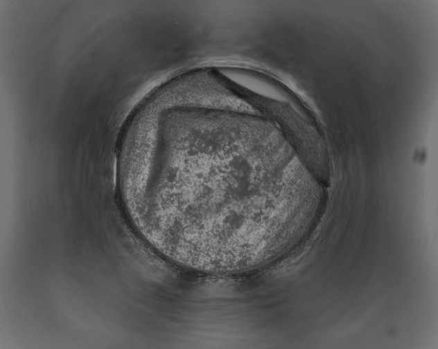 X0000088871221200707061340