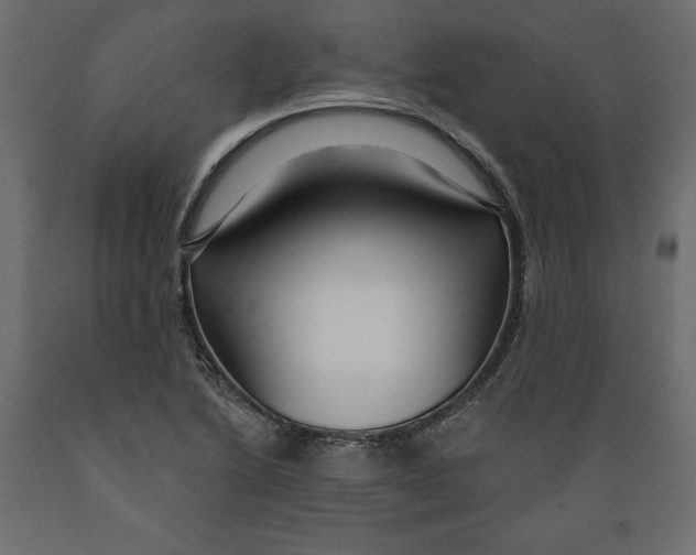 X0000088871222200707061340