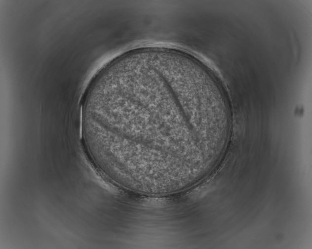 X0000088871223200707061340