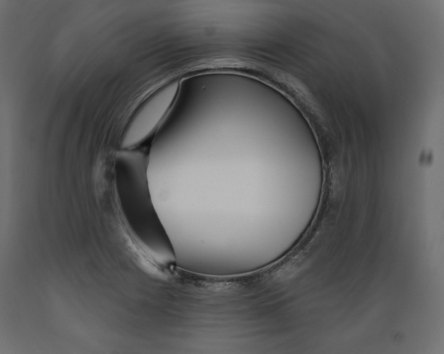 X0000088871225200707061340