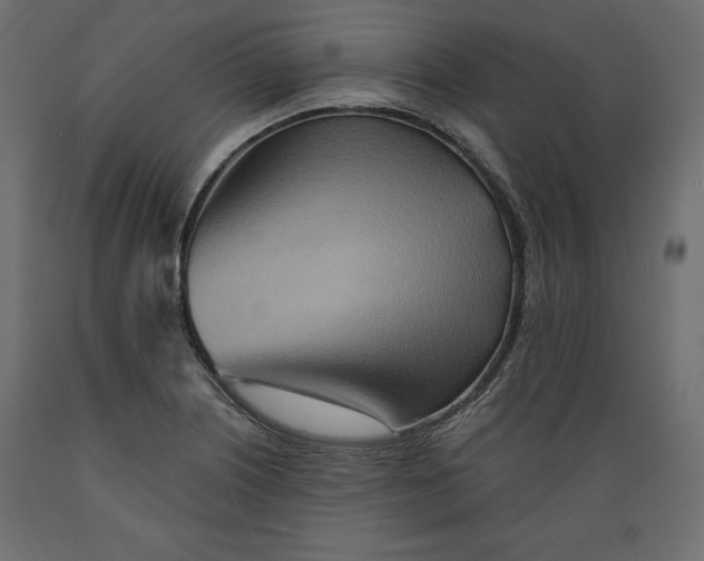 X0000088871226200707061340