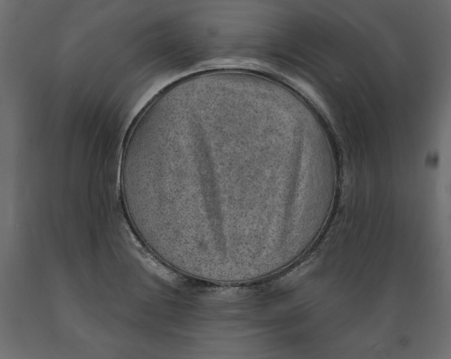 X0000088871228200707061340