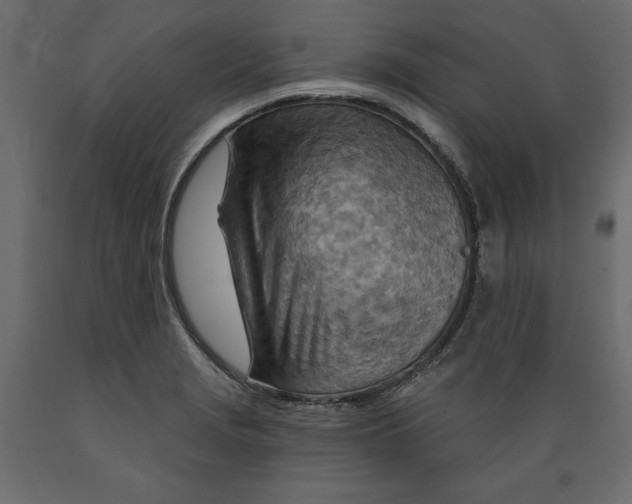 X0000088871229200707061340