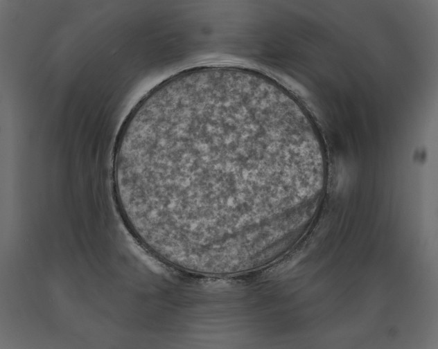 X0000088871231200707061340