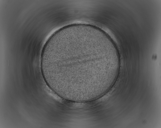 X0000088871232200707061340