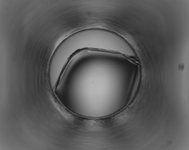 X0000088871234200707061340
