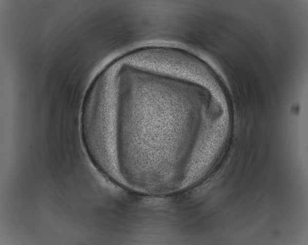 X0000088871237200707061340