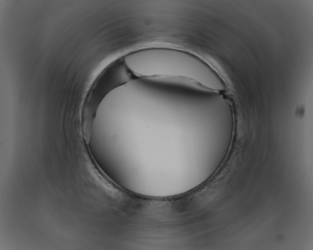 X0000088871238200707061340