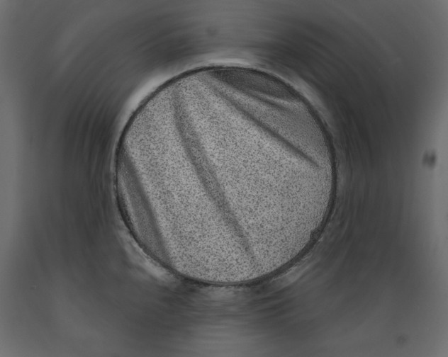 X0000088871240200707061340