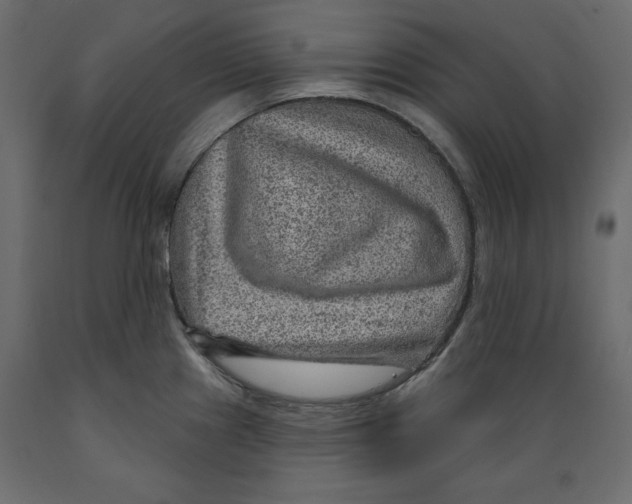 X0000088871241200707061340