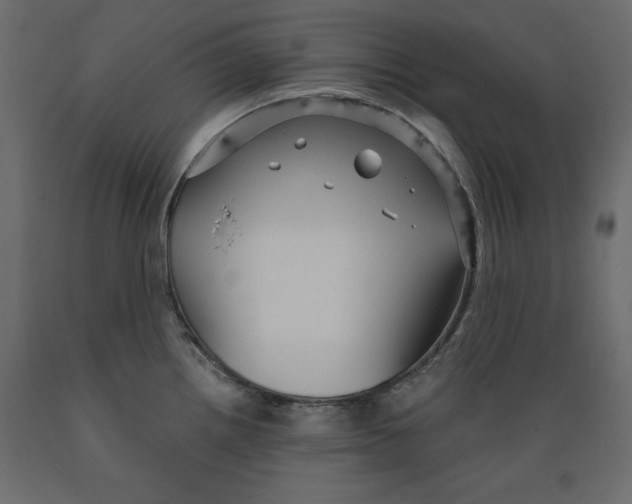 X0000088871242200707061340