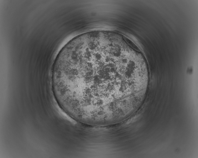 X0000088871243200707061340