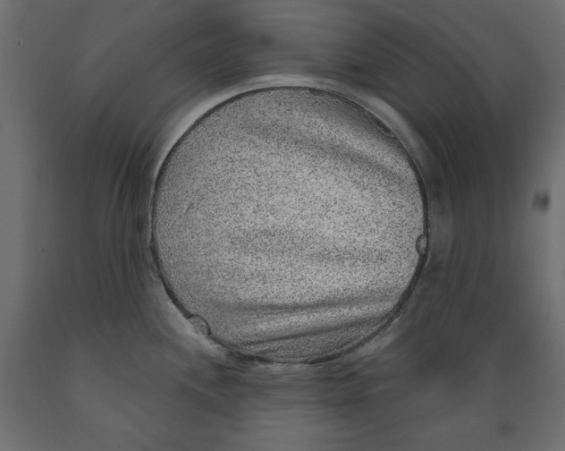 X0000088871244200707061340