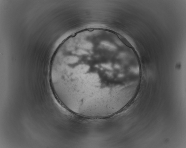 X0000088871245200707061341