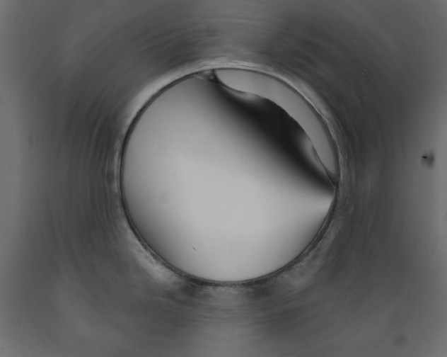 X0000088871246200707061341