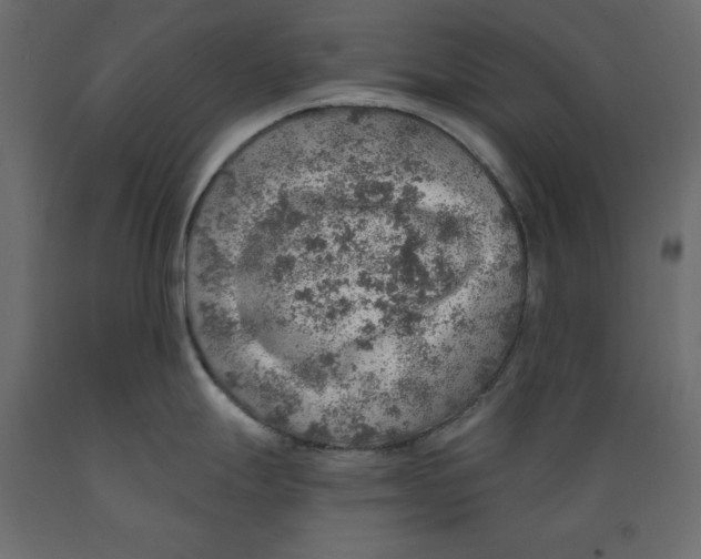 X0000088871247200707061341