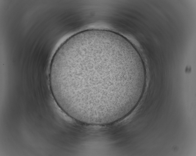 X0000088871248200707061341