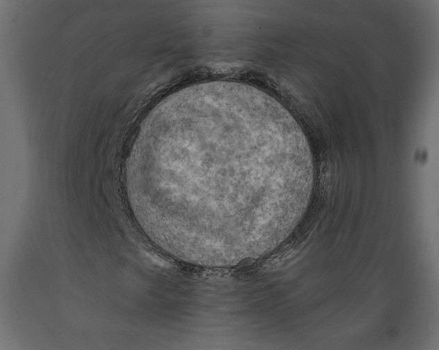 X0000088871249200707061340