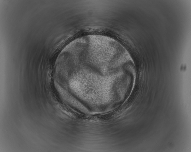 X0000088871250200707061340