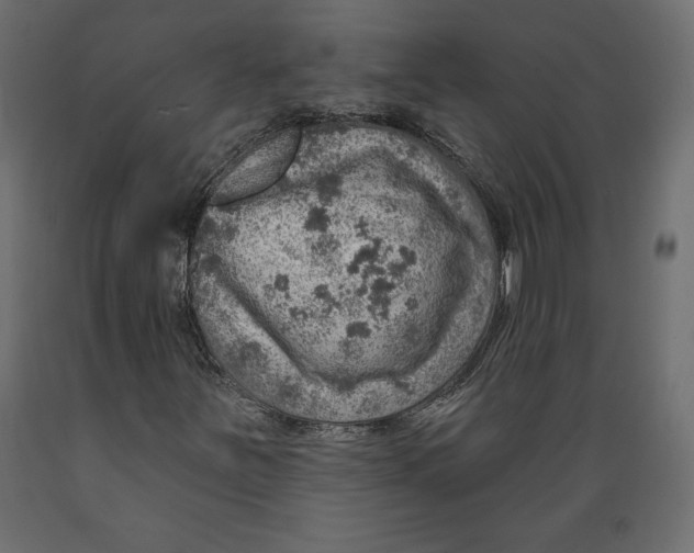 X0000088871251200707061340
