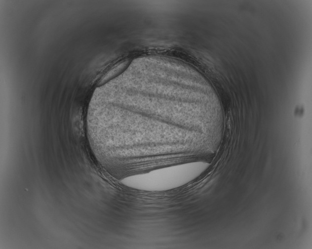 X0000088871252200707061340