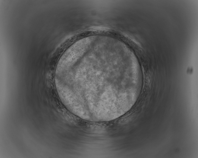X0000088871254200707061340