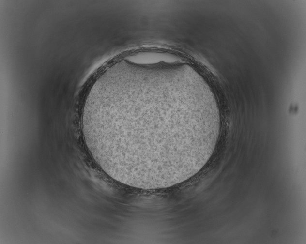 X0000088871256200707061340