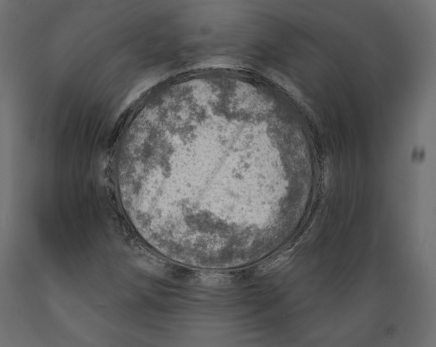 X0000088871258200707061340