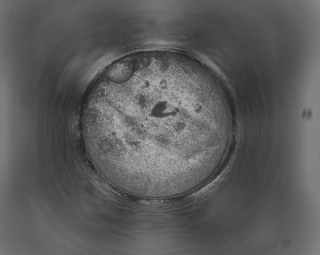 X0000088871259200707061340