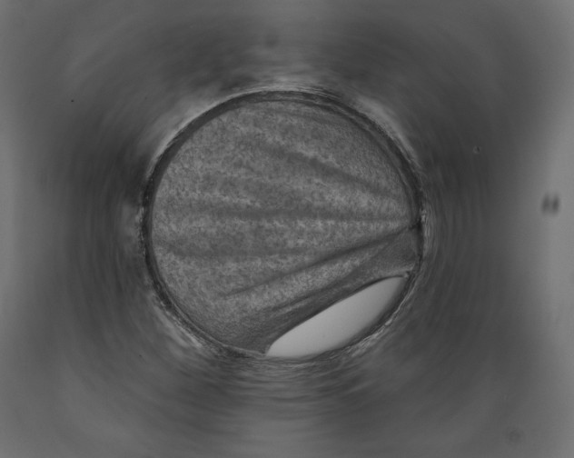 X0000088871260200707061340
