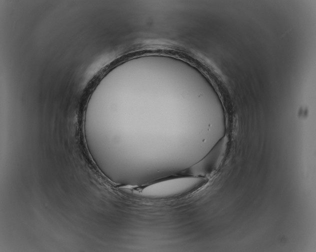 X0000088871261200707061340