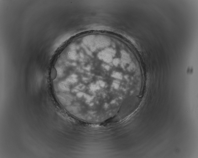 X0000088871263200707061340