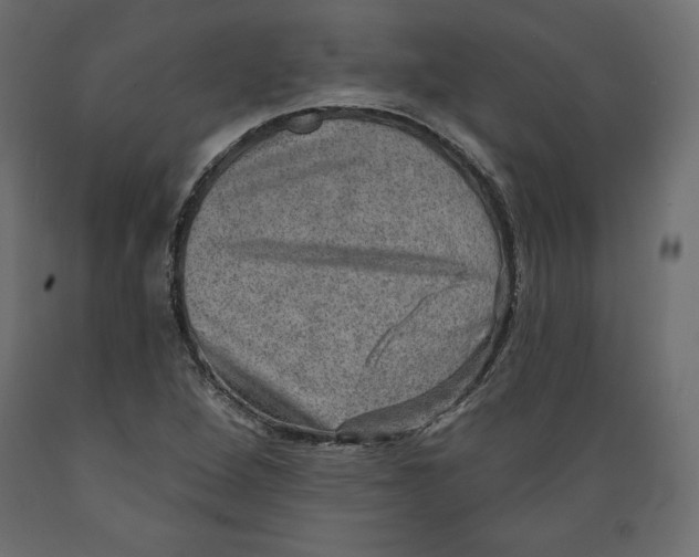 X0000088871264200707061340